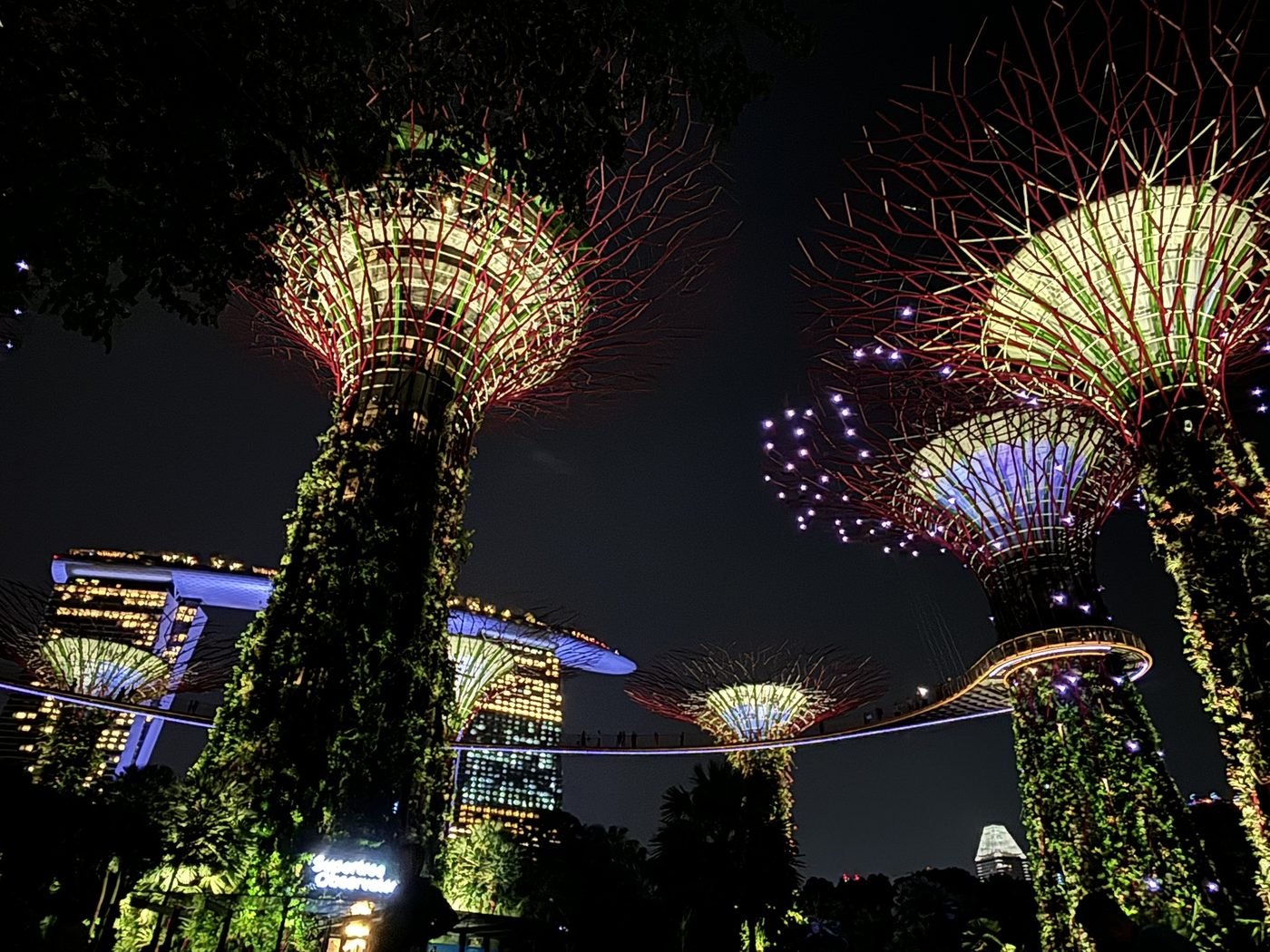 The illuminated Supertree Grove at Gardens by the Bay, Singapore